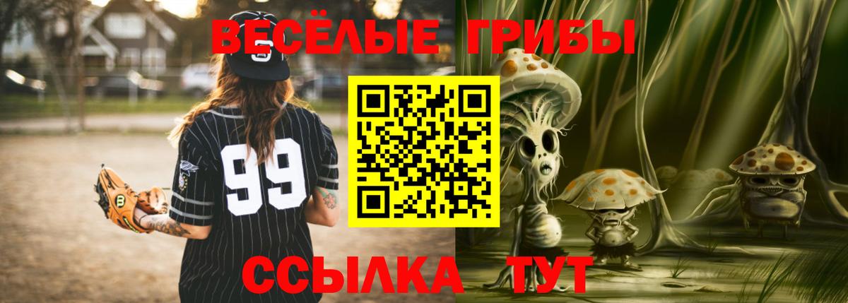 Галлюциногенные грибы Psilocybine cubensis Донской